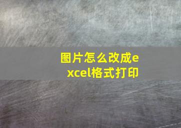 图片怎么改成excel格式打印