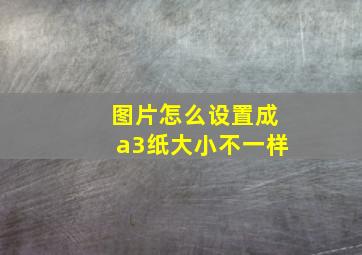 图片怎么设置成a3纸大小不一样