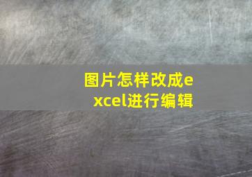 图片怎样改成excel进行编辑