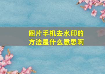 图片手机去水印的方法是什么意思啊