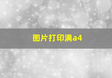 图片打印满a4