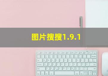 图片搜搜1.9.1