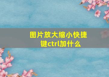 图片放大缩小快捷键ctrl加什么