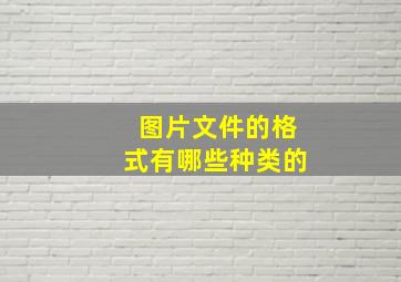 图片文件的格式有哪些种类的