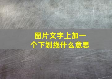 图片文字上加一个下划线什么意思