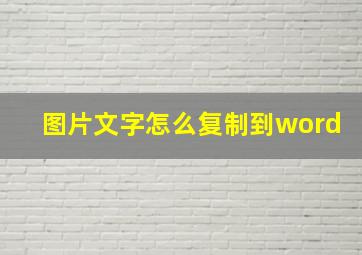 图片文字怎么复制到word