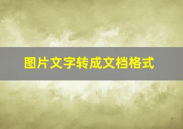 图片文字转成文档格式