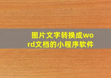 图片文字转换成word文档的小程序软件