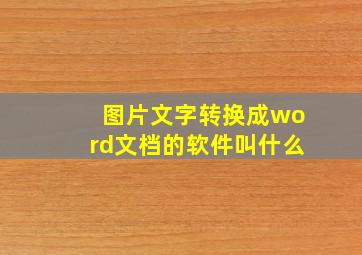 图片文字转换成word文档的软件叫什么