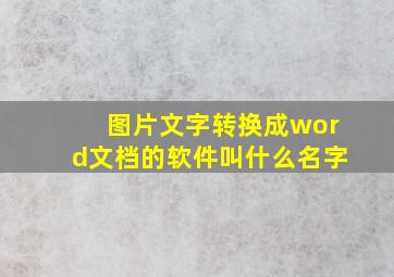 图片文字转换成word文档的软件叫什么名字