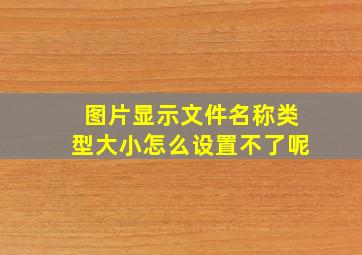 图片显示文件名称类型大小怎么设置不了呢