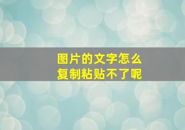 图片的文字怎么复制粘贴不了呢