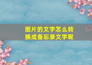 图片的文字怎么转换成备忘录文字呢