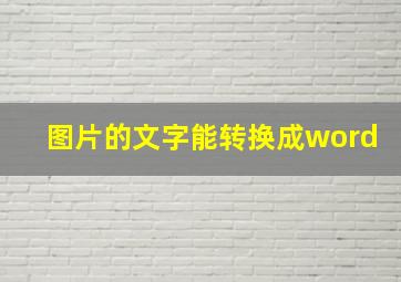 图片的文字能转换成word