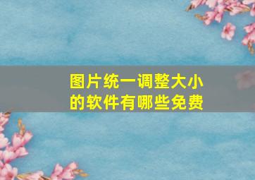 图片统一调整大小的软件有哪些免费