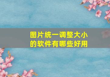 图片统一调整大小的软件有哪些好用