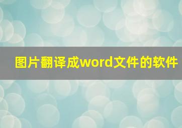 图片翻译成word文件的软件