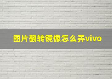 图片翻转镜像怎么弄vivo