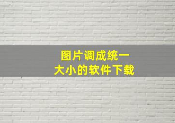 图片调成统一大小的软件下载