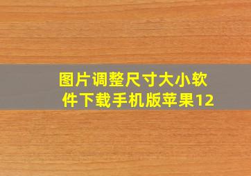 图片调整尺寸大小软件下载手机版苹果12