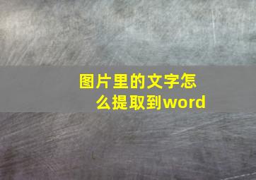 图片里的文字怎么提取到word