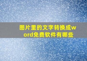 图片里的文字转换成word免费软件有哪些