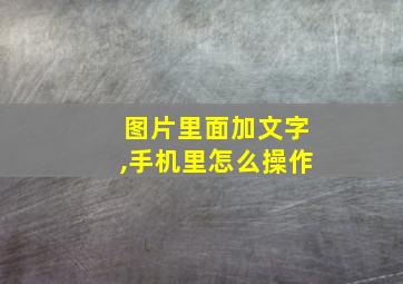 图片里面加文字,手机里怎么操作