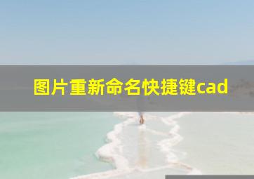 图片重新命名快捷键cad