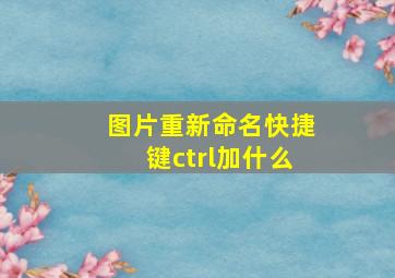 图片重新命名快捷键ctrl加什么