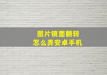 图片镜面翻转怎么弄安卓手机