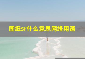 图纸sr什么意思网络用语