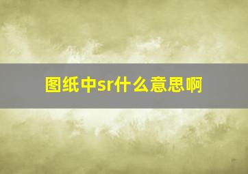 图纸中sr什么意思啊