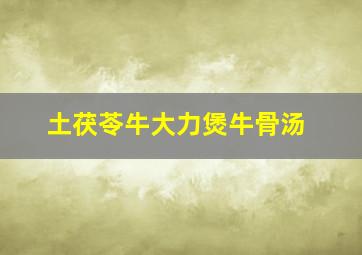 土茯苓牛大力煲牛骨汤