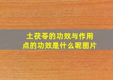 土茯苓的功效与作用点的功效是什么呢图片