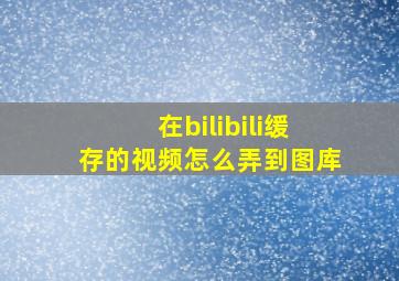 在bilibili缓存的视频怎么弄到图库