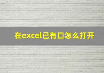 在excel已有口怎么打开