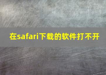 在safari下载的软件打不开