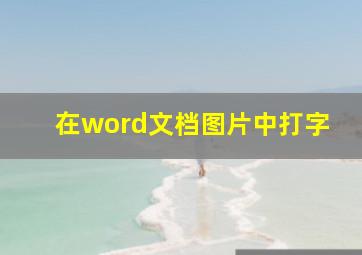 在word文档图片中打字