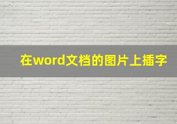 在word文档的图片上插字