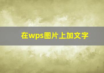 在wps图片上加文字