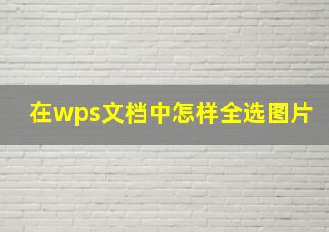 在wps文档中怎样全选图片