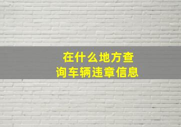 在什么地方查询车辆违章信息