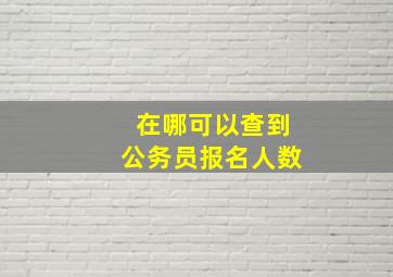 在哪可以查到公务员报名人数