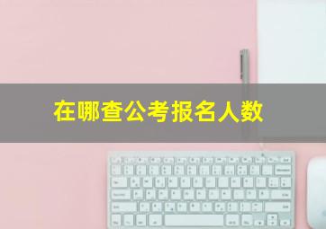 在哪查公考报名人数