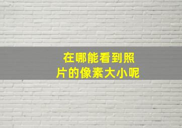 在哪能看到照片的像素大小呢