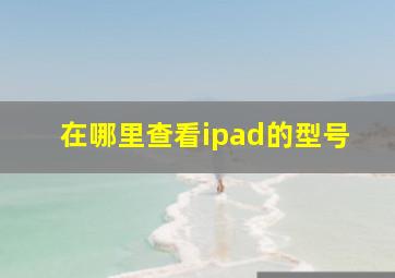 在哪里查看ipad的型号