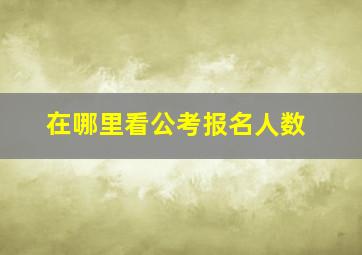 在哪里看公考报名人数