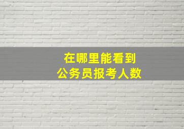 在哪里能看到公务员报考人数