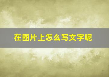 在图片上怎么写文字呢