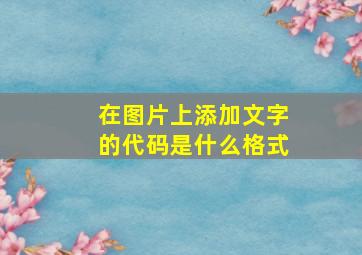 在图片上添加文字的代码是什么格式